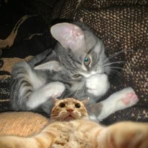 Meet your Posher, Stefanie